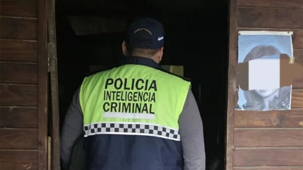 Detuvieron a una mujer en Tucumán por amenazar a Milei a través de las redes amenaza milei mujer large