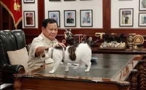 Indonesia designó un custodio oficial para el gato del Presidente 1 images 1
