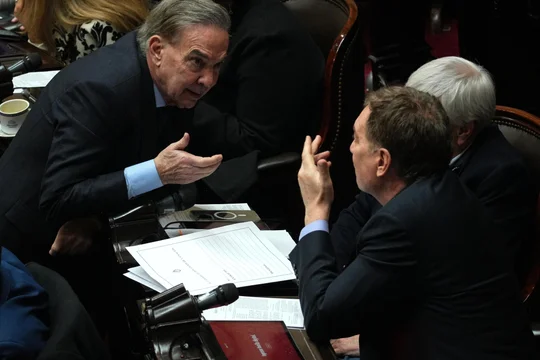 Diputados de la oposición pidieron una sesión especial para tratar leyes vetadas por Milei 360 15