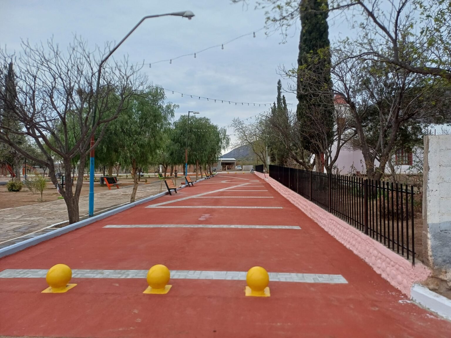 505410154 10223023978267238 7476719212802994332 n