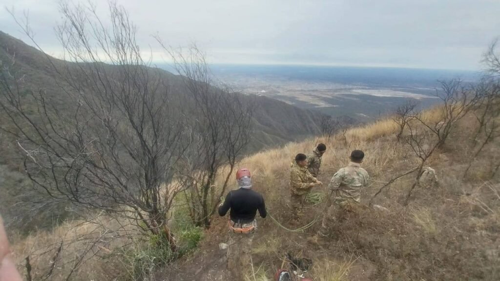 528271248 1214878284017702 1733604088745256124 n