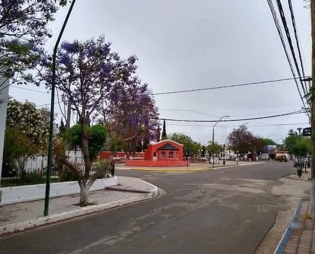 La Policía investiga una estafa millonaria en Catuna 528740086 1060054696326374 1076655949366560843 n