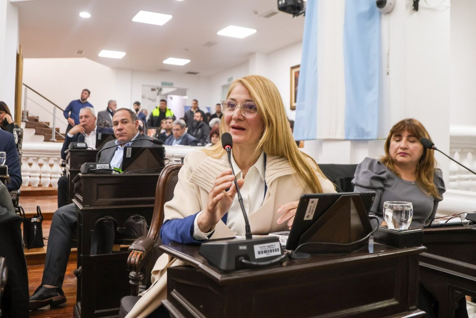 Nadina Reynoso busca renovar su banca destacando su “coherencia” Nadina Reynoso