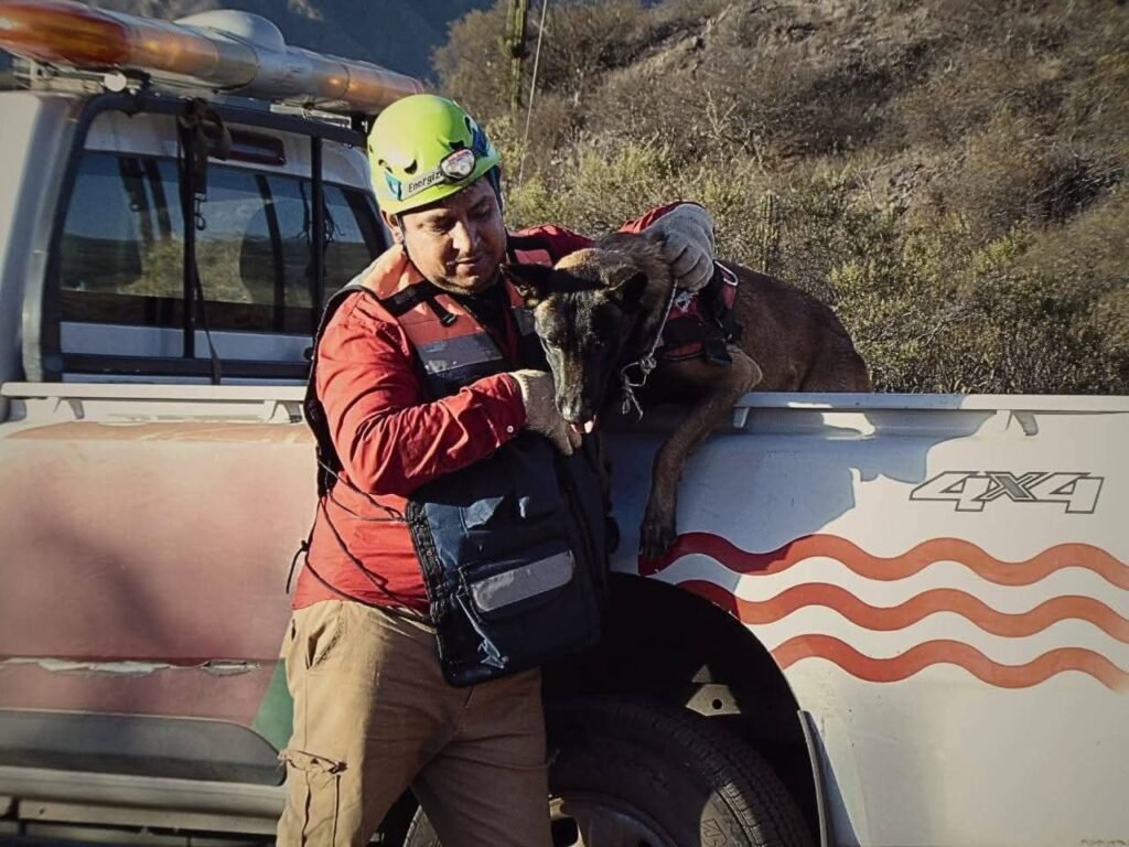 Vicky igor perro de rescate