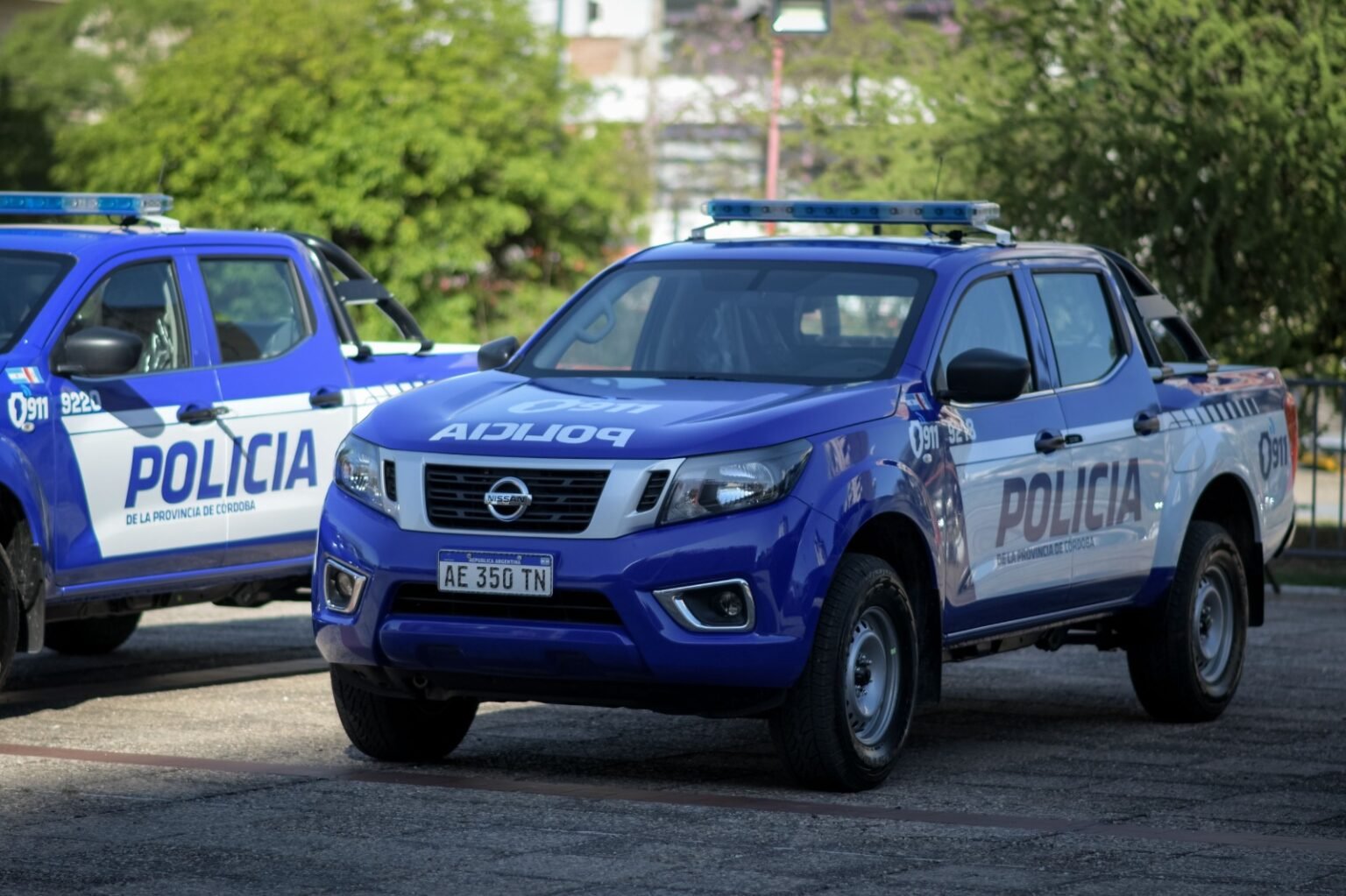 Córdoba: intentó rescatar a su gato y cayó desde un tercer piso WhatsApp Image 2025 08 28 at 8.08.56 AM