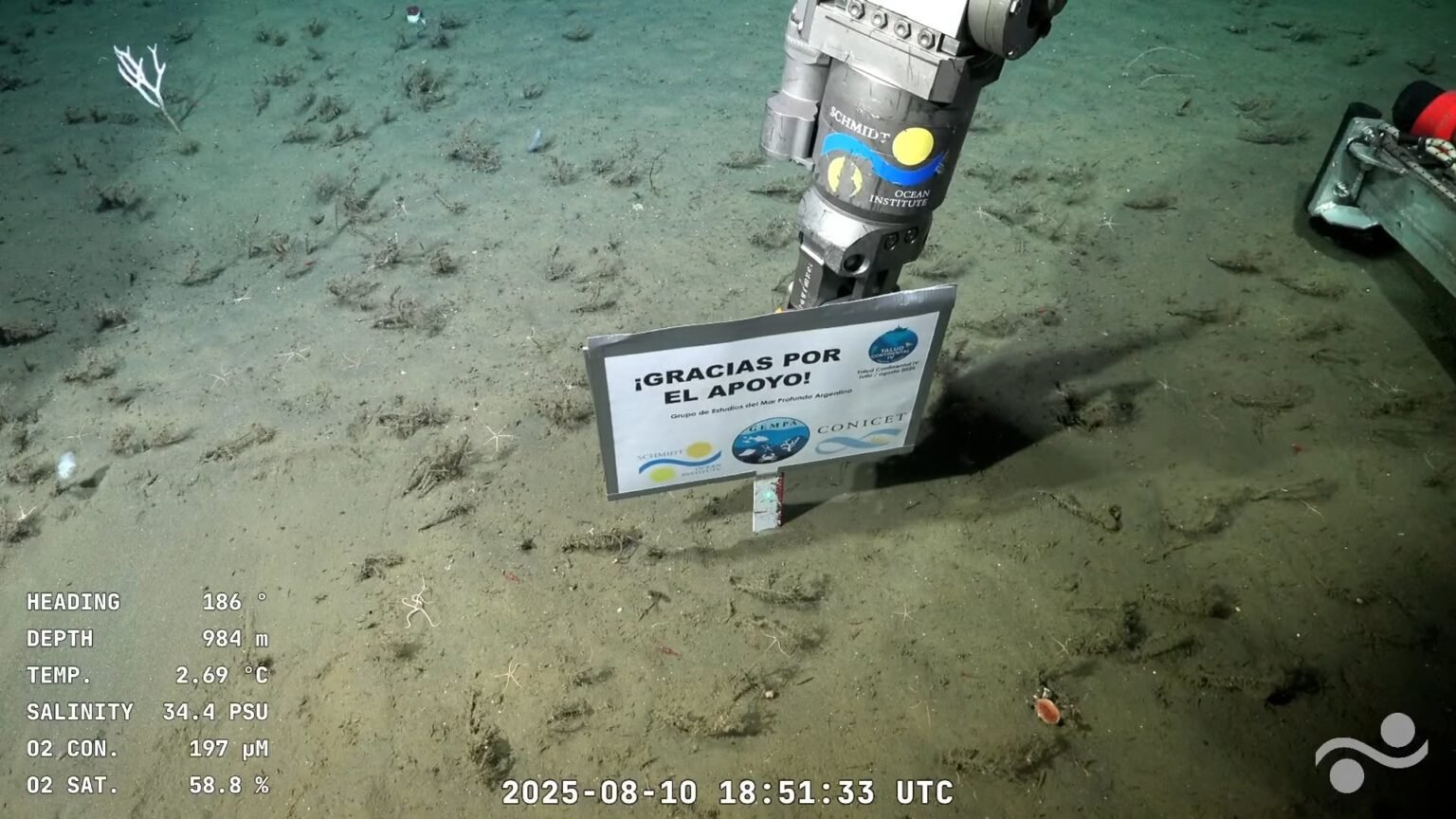 El Conicet arranca una expedición en Chubut: cañones submarinos, biodiversidad y transmisión en vivo cartel conicet