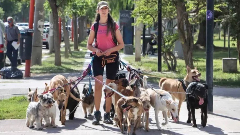 La UBA lanzó un curso gratuito para paseadores de perros paseador1