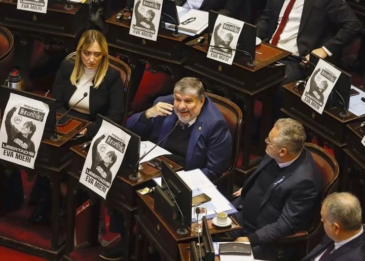 El senado buscará este martes firmar dictámenes de universidades y Garrahan sENADO