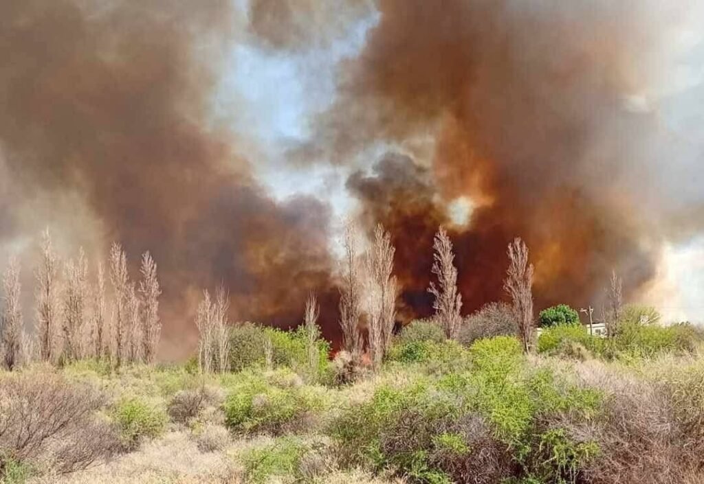 Incendio forestal azotó una localidad sauceña y se propagó rápidamente 549786650 1334725668660984 8952056843757763733 n