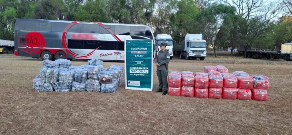 550178862 122127833144950615 904707748855200011 n