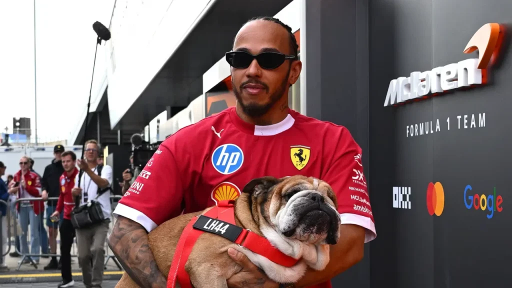 Falleció el perro que acompañó a Lewis Hamilton durante toda su carrera 720 13 1