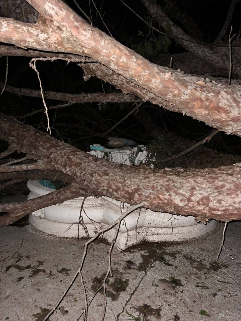 FB IMG 1759148759037