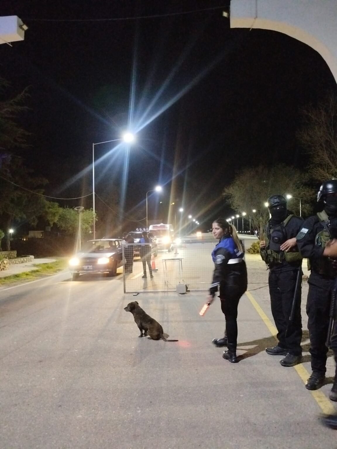 WhatsApp Image 2025 09 21 at 10.00.07 PM