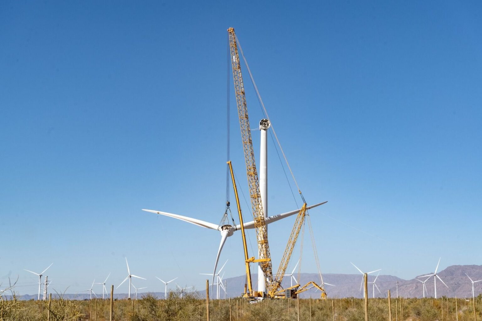 WhatsApp Image 2025 09 23 at 11.46.14 AM