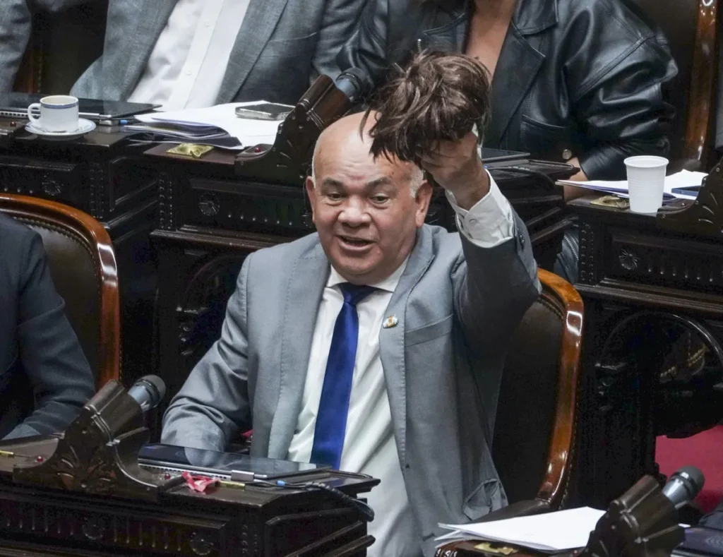 aldo leiva votando diputado peluca