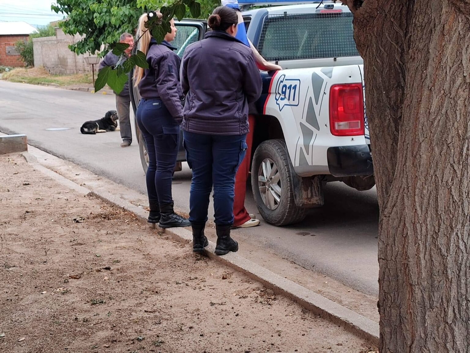 573033476 1373005548168826 7481089302553716406 n