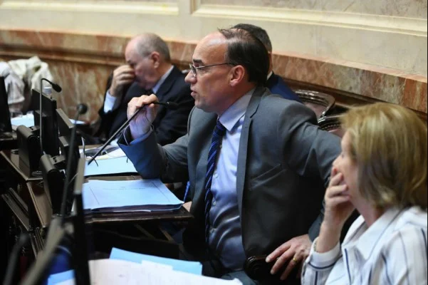 Duro revés a Milei en el Senado: «El Gobierno está obligado a promulgar la Ley y cumplirla» Blanco