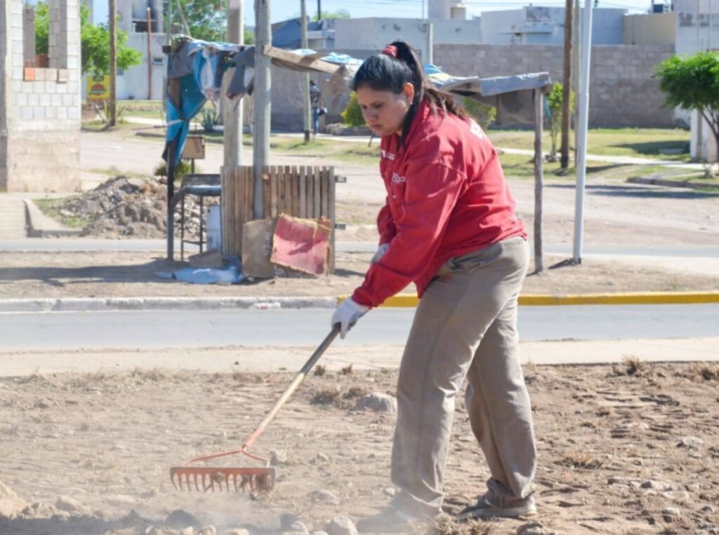 WhatsApp Image 2025 10 03 at 11.53.08 AM