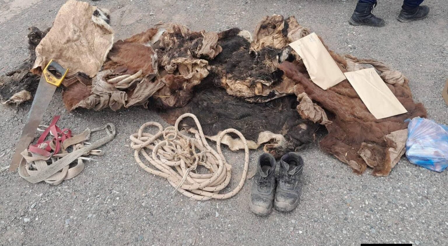 WhatsApp Image 2025 10 28 at 11.39.01 PM