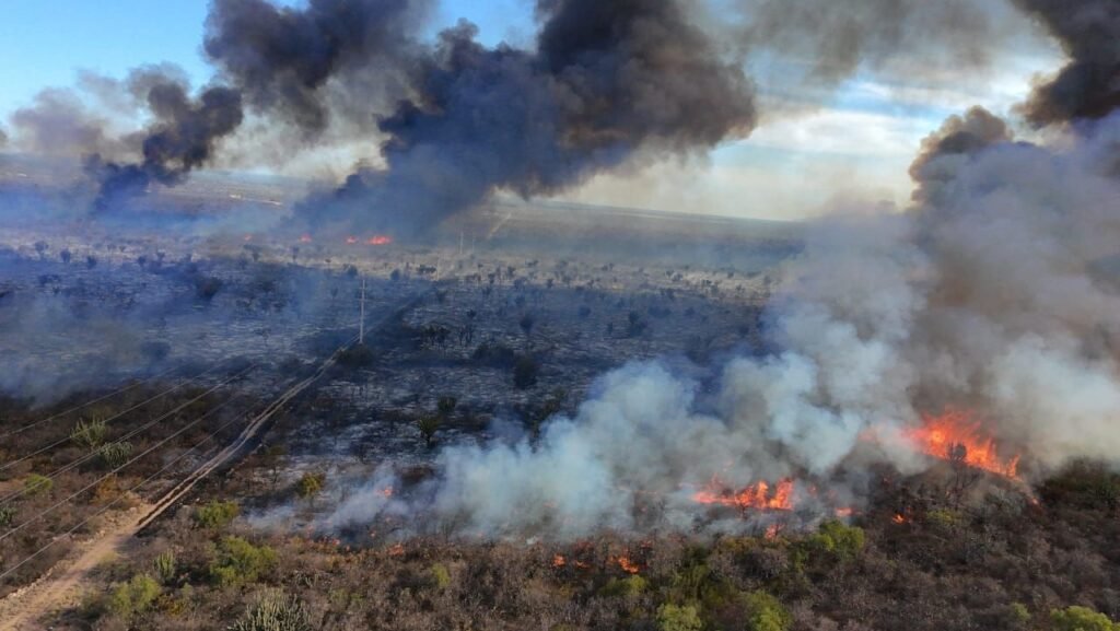 588072169 1240823074734933 7321992288378121702 n 1