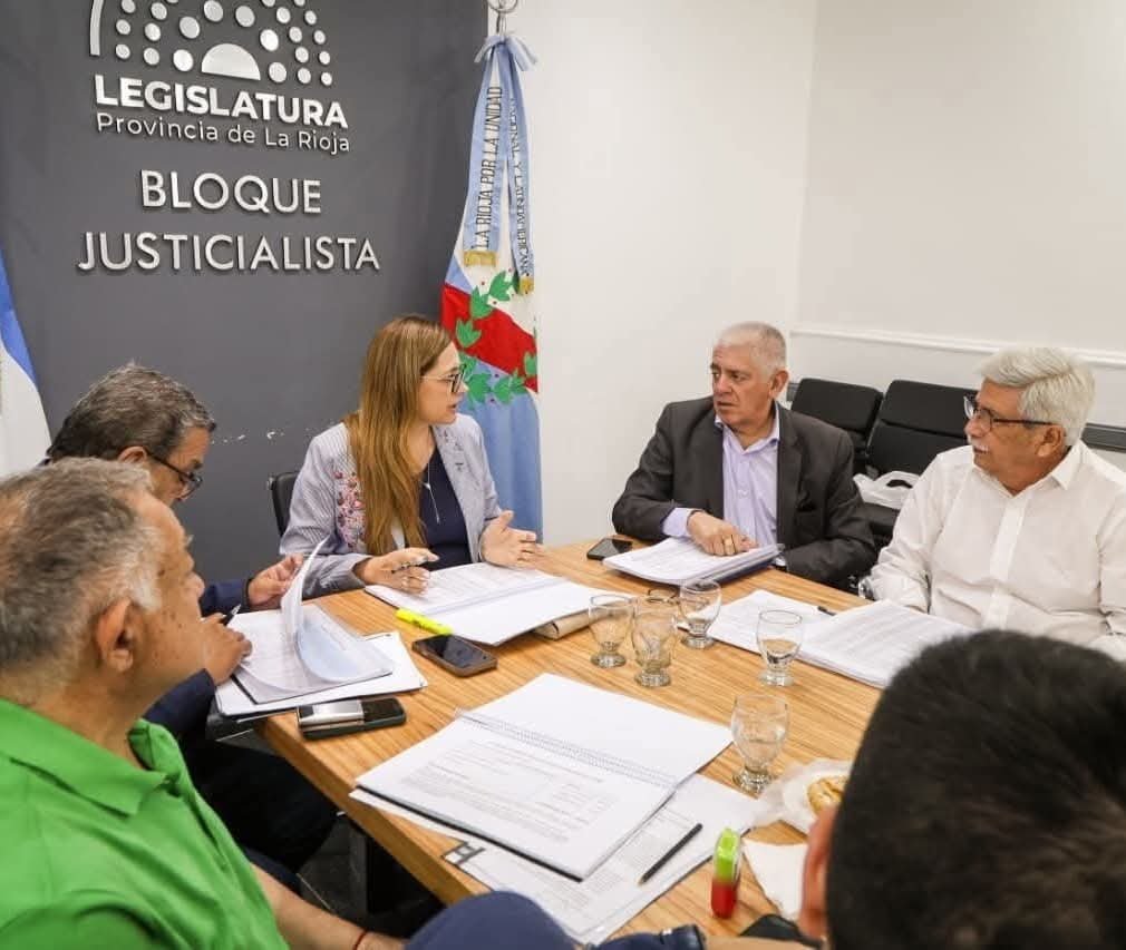 Diputados avanza con el tratamiento del Presupuesto en Comisión FB IMG 1763002141044