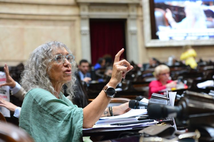 Caso $LIBRA: “Menem hizo maniobras para entorpecer la investigación de la causa» Monica Frade