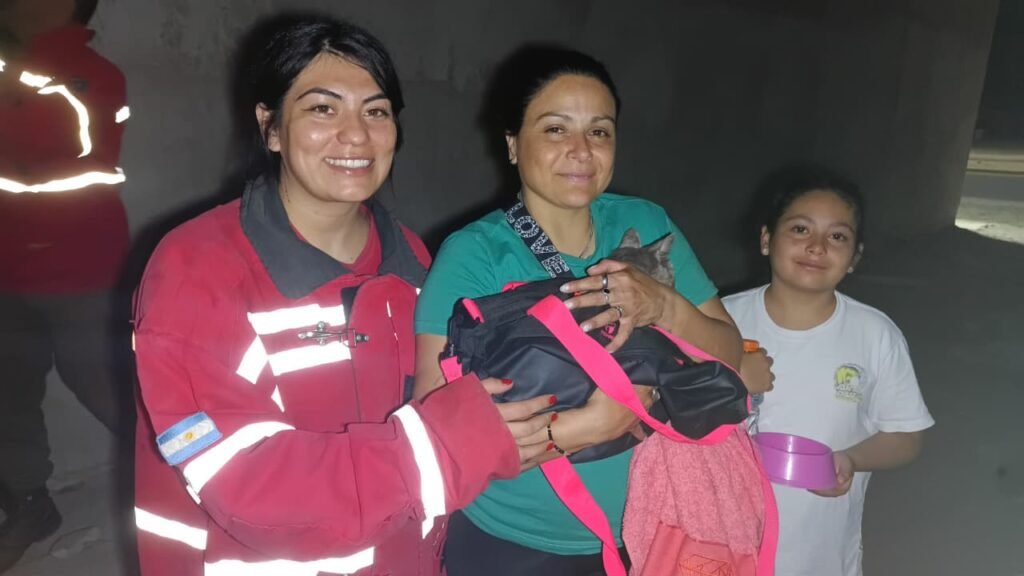 WhatsApp Image 2025 11 12 at 12.36.50 AM