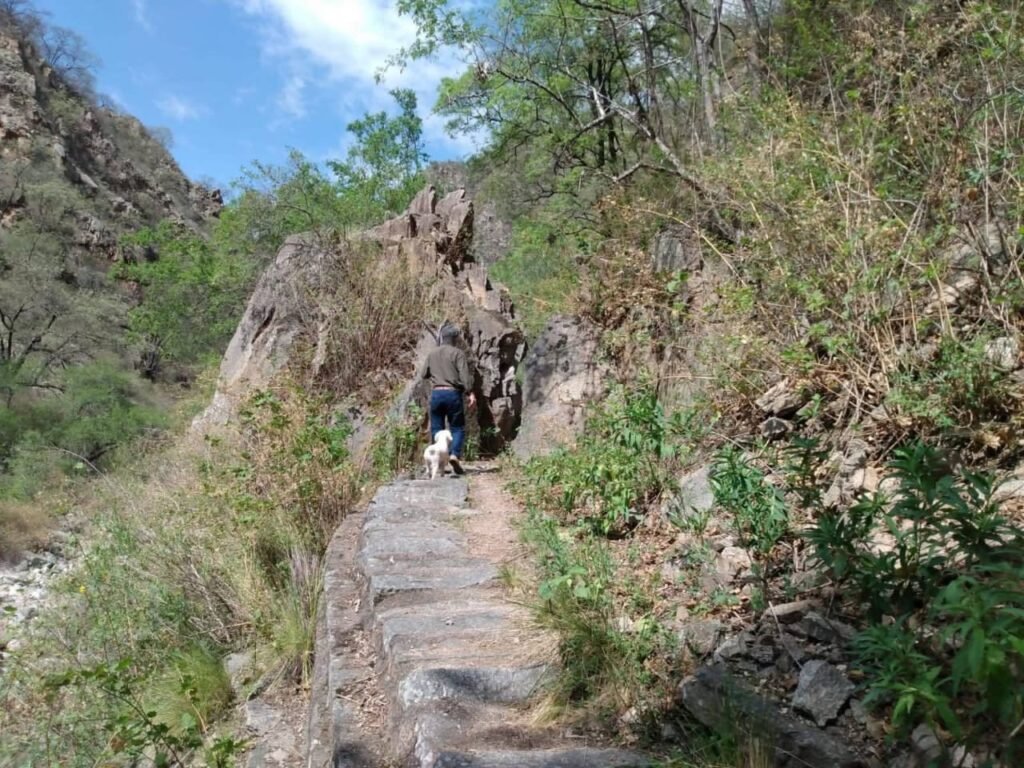 WhatsApp Image 2025 11 24 at 2.00.11 AM