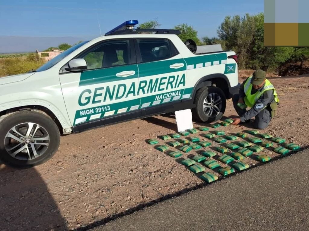 Operativos en Chilecito y Vichigasta dejan múltiples incautaciones de marihuana WhatsApp Image 2025 11 24 at 9.27.11 AM