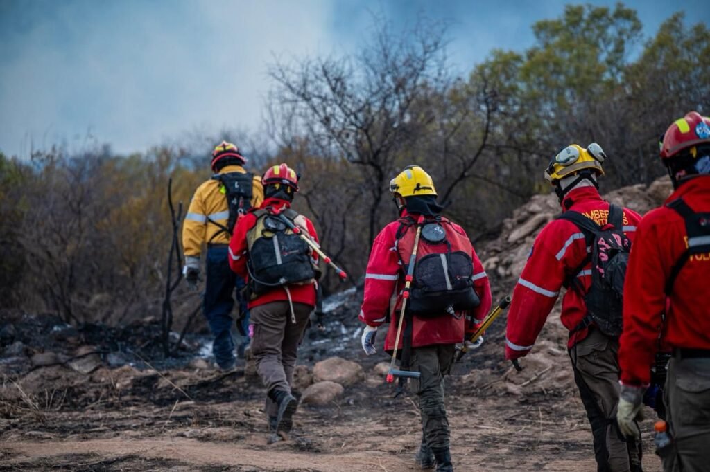 WhatsApp Image 2025 11 25 at 11.36.58 PM