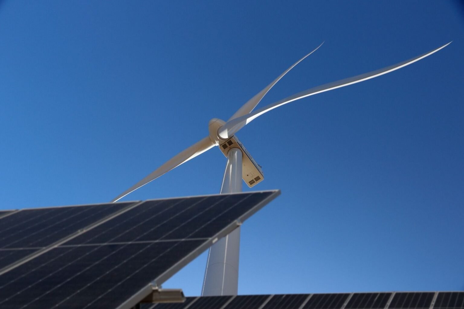 WhatsApp Image 2025 11 25 at 7.12.29 PM