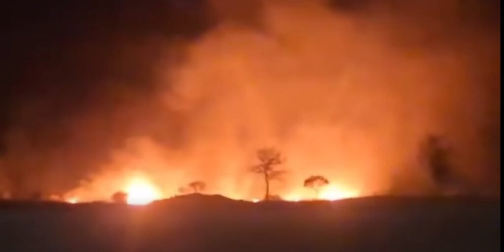 WhatsApp Image 2025 11 25 at 8.01.00 AM