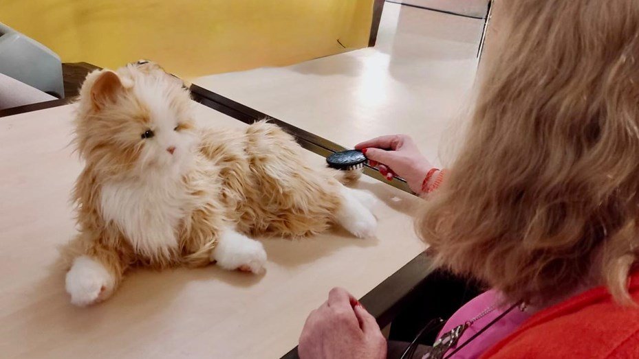Ciencia: las mascotas robot ayudan a reducir las emociones negativas en personas con Alzheimer whatsapp image 2025 11 11 at 092638 1