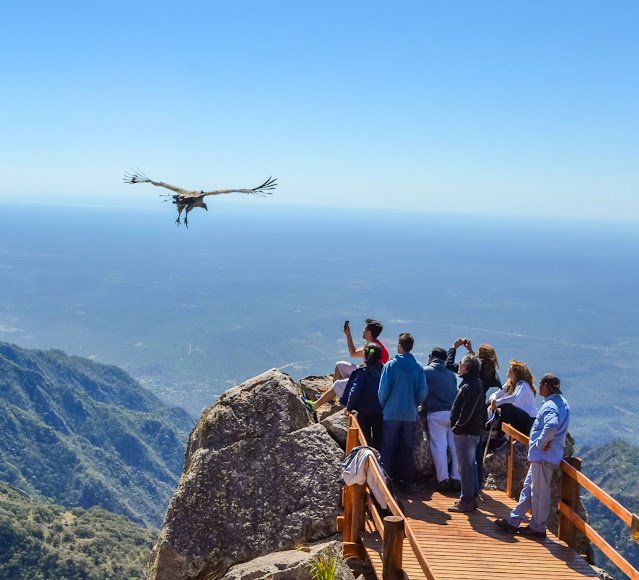 573091982 1447733817358135 1863931722284300325 n