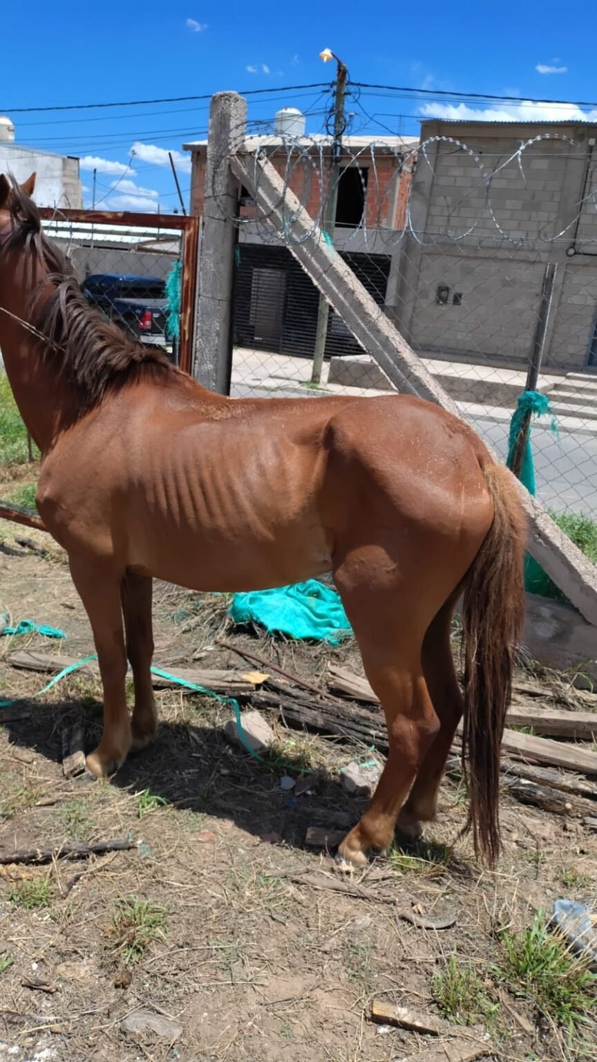 596808326 1412311636956053 6941044221017861811 n