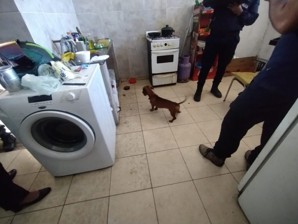 596811823 1412311683622715 2269505843674659691 n