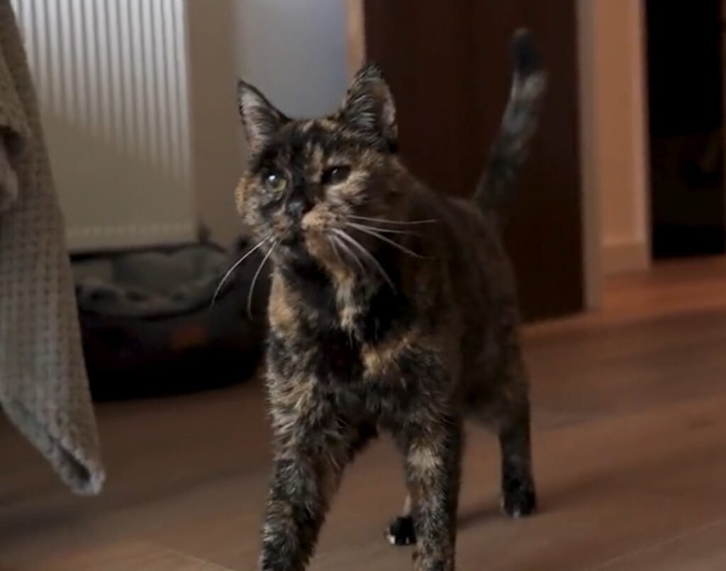 607138380 1229872839341492 2131020480906677821 n