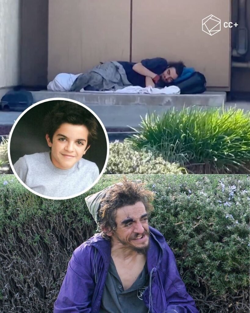 607661128 1264770669008853 355383493300471185 n