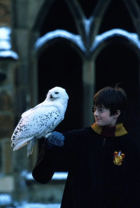 Las 10 películas top que pueden estar en Netflix tras la compra de HBO 720 11