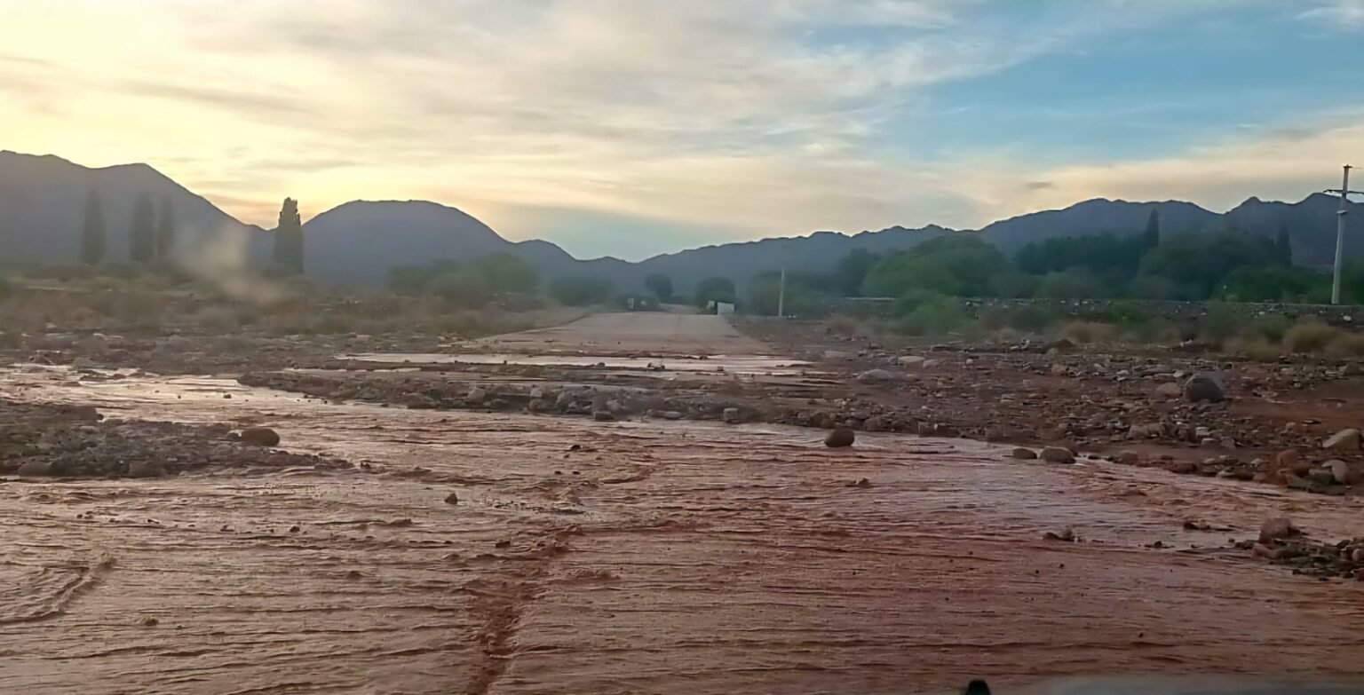 WhatsApp Image 2025 12 05 at 7.37.27 AM