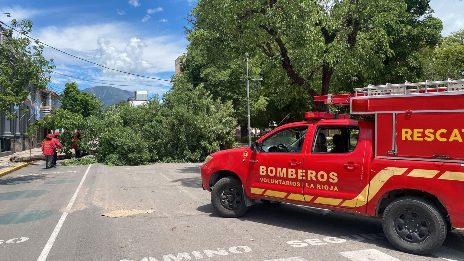 WhatsApp Image 2025 12 25 at 5.21.27 PM