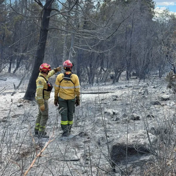El Gobierno intervino el Parque Nacional Los Alerces mientras se combaten los focos activos 2026012601118322803 sq