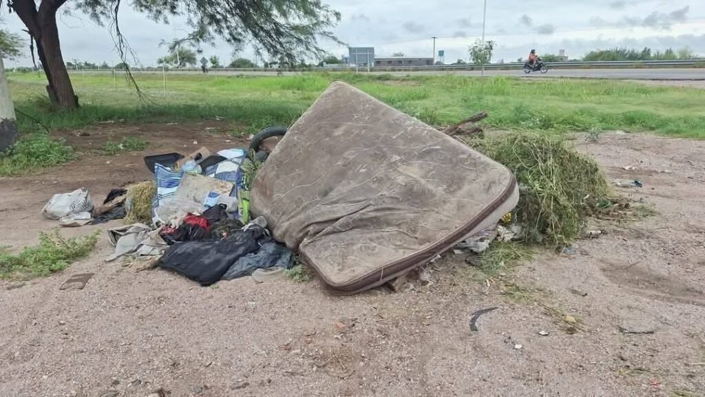 612083904 1513619564097909 4842885378018459045 n