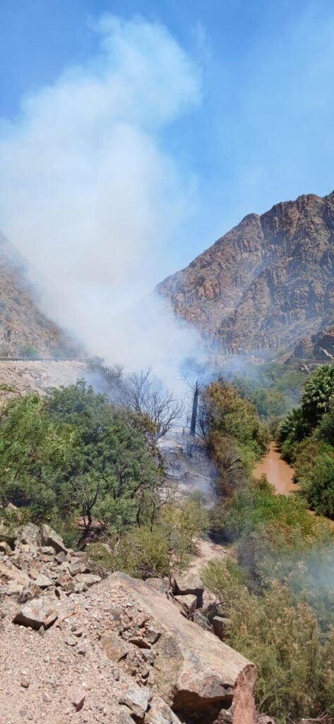 614904639 1275898254560748 1676011131099945100 n