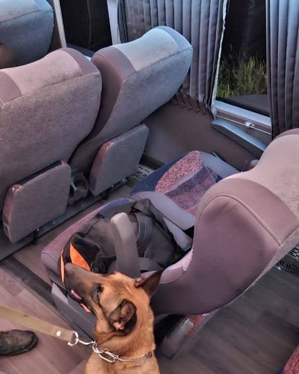 Importante operativo en Ruta 38: secuestraron más de 3 kilos de cannabis 615177703 1409661314505908 744733420151254412 n