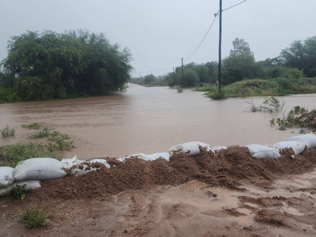 7dcf2154 a121 4d75 ae96 e5b9f2cb1b7d