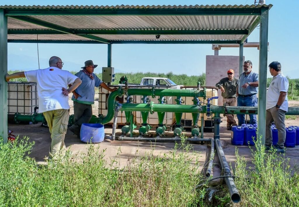 WhatsApp Image 2026 01 07 at 11.04.07 AM