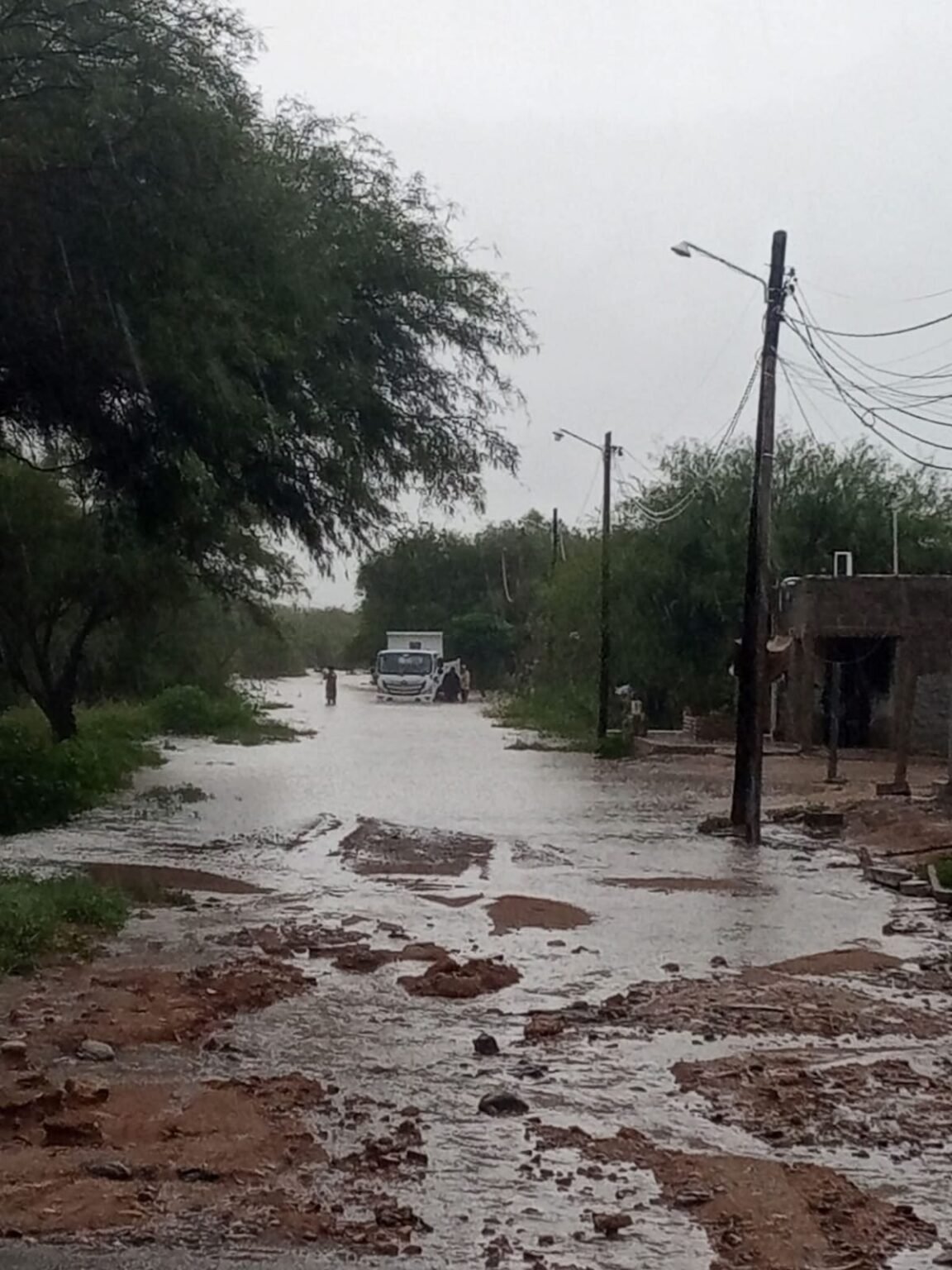 WhatsApp Image 2026 01 08 at 5.08.24 PM