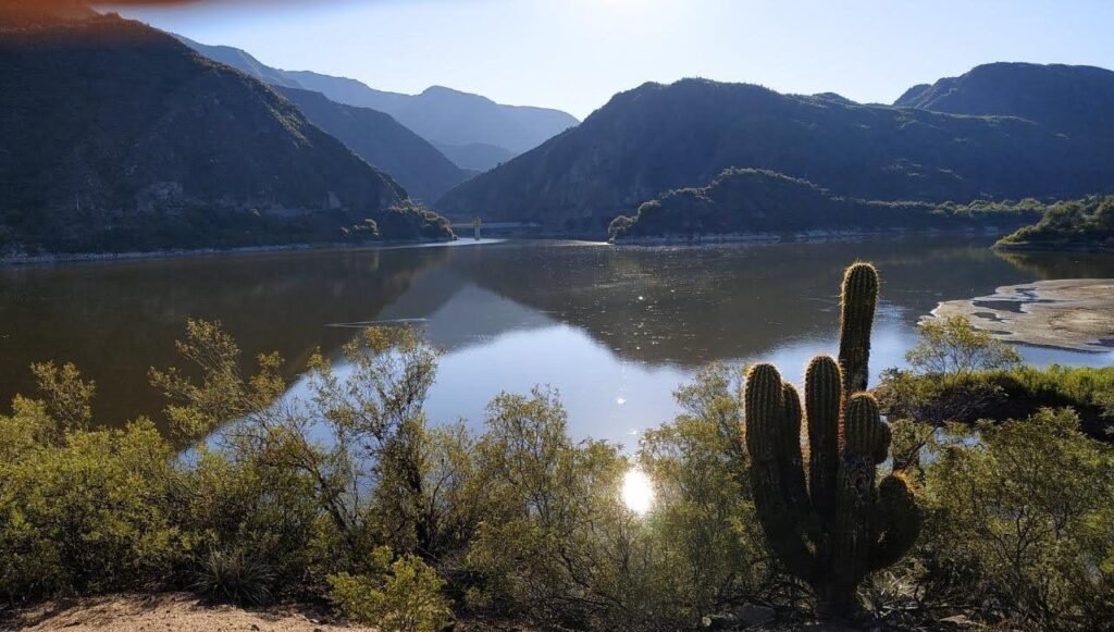 WhatsApp Image 2026 01 12 at 12.25.55 PM