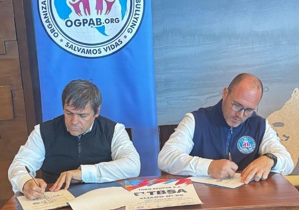 alianza antibullying 695f916a59390